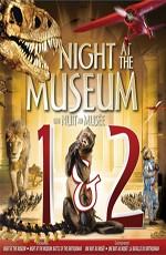 Ночь в музее: Дилогия / Night at the Museum: Dilogy (2006) смотреть онлайн бесплатно в отличном качестве