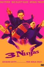 Три ниндзя / 3 Ninjas (None) смотреть онлайн бесплатно в отличном качестве