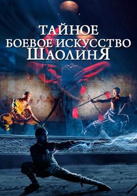 Тайное боевое искусство Шаолиня (Shao Lin zhen gong fu)  года смотреть онлайн бесплатно в отличном качестве. Постер