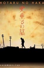 Могила светлячков / Hotaru no Haka (2005) смотреть онлайн бесплатно в отличном качестве