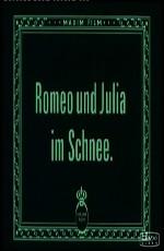 Ромео и Джульетта в снегу (Romeo und Julia im Schnee) 
							1920
							 года смотреть онлайн бесплатно в отличном качестве. Постер