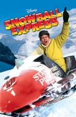 Экспресс снежок / Snowball Express (1972) смотреть онлайн бесплатно в отличном качестве