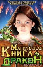 Магическая книга и дракон (Hexe Lilli, der Drache und das magische Buch) 2008 года смотреть онлайн бесплатно в отличном качестве. Постер