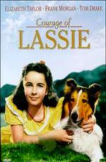 Храбрость Лэсси (Courage of Lassie)  года смотреть онлайн бесплатно в отличном качестве. Постер