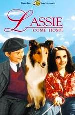 Лэсси возвращается домой / Lassie Come Home () смотреть онлайн бесплатно в отличном качестве