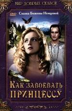 Как завоевать принцессу (Jak si zaslouzit princeznu)  года смотреть онлайн бесплатно в отличном качестве. Постер