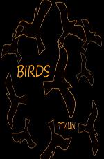 Птицы / Birds (2011) смотреть онлайн бесплатно в отличном качестве