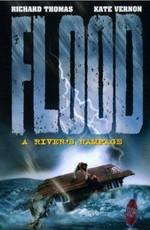 Потоп / Flood: A River's Rampage () смотреть онлайн бесплатно в отличном качестве