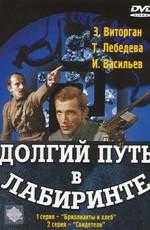 Долгий путь в лабиринте ()  года смотреть онлайн бесплатно в отличном качестве. Постер