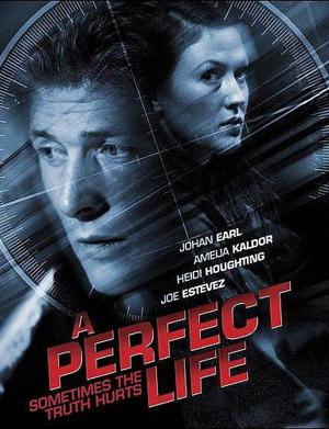 Идеальная жизнь / A Perfect Life () смотреть онлайн бесплатно в отличном качестве