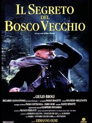 Тайна старого леса / Il segreto del bosco vecchio () смотреть онлайн бесплатно в отличном качестве