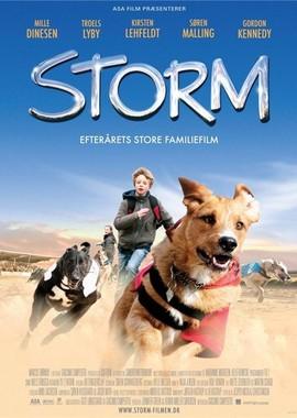 Шторм / Storm (2009) смотреть онлайн бесплатно в отличном качестве