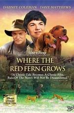 Цветок красного папоротника / Where the Red Fern Grows (2003) смотреть онлайн бесплатно в отличном качестве