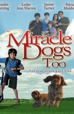 Зак и чудо-собаки / Miracle Dogs Too (2006) смотреть онлайн бесплатно в отличном качестве