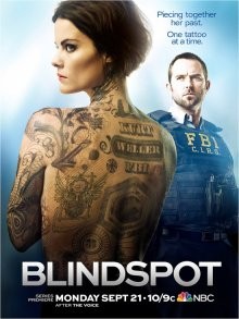 Слепая зона / Слепое пятно / Blindspot (2015) смотреть онлайн бесплатно в отличном качестве