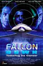 Призрачная цель / Falcon Down (2001) смотреть онлайн бесплатно в отличном качестве