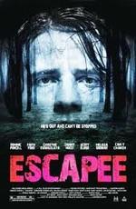 Беглец / Escapee (2011) смотреть онлайн бесплатно в отличном качестве