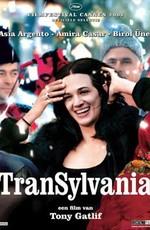 Трансильвания / Transylvania (2006) смотреть онлайн бесплатно в отличном качестве