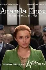 История Аманды Нокс / Amanda Knox: Murder on Trial in Italy (2011) смотреть онлайн бесплатно в отличном качестве