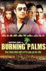 Горящие пальмы / Burning Palms (None) смотреть онлайн бесплатно в отличном качестве