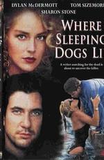 Там, где покоится зло / Where Sleeping Dogs Lie () смотреть онлайн бесплатно в отличном качестве