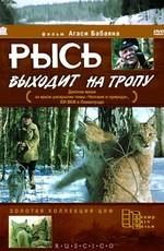 Рысь выходит на тропу /  (None) смотреть онлайн бесплатно в отличном качестве