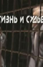 Жизнь и судьба () 2009 года смотреть онлайн бесплатно в отличном качестве. Постер