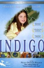 Индиго (Indigo) 2003 года смотреть онлайн бесплатно в отличном качестве. Постер