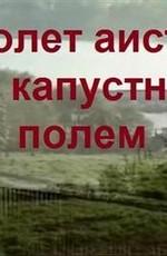 Полет аиста над капустным полем /  (None) смотреть онлайн бесплатно в отличном качестве