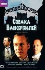 Собака Баскервилей (The Hound of the Baskervilles) 2002 года смотреть онлайн бесплатно в отличном качестве. Постер