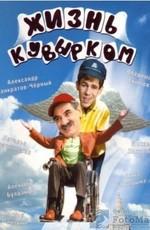 Жизнь кувырком /  (2003) смотреть онлайн бесплатно в отличном качестве