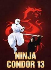 Ниндзя-кондор 13 / Ninjas, Condors 13 (None) смотреть онлайн бесплатно в отличном качестве