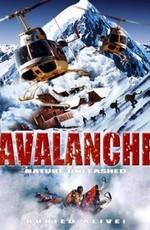 Лавина (Nature Unleashed: Avalanche)  года смотреть онлайн бесплатно в отличном качестве. Постер