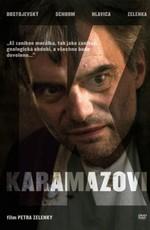 Карамазовы / Karamazovi (2008) смотреть онлайн бесплатно в отличном качестве