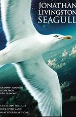 Чайка по имени Джонатан Ливингстон (Jonathan Livingston Seagull) 1973 года смотреть онлайн бесплатно в отличном качестве. Постер