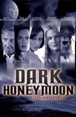 Тёмный медовый месяц / Dark Honeymoon (2008) смотреть онлайн бесплатно в отличном качестве