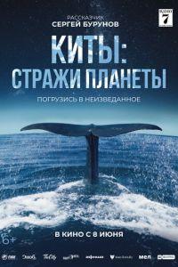 Киты: Стражи планеты / Les gardiennes de la planète (2023) смотреть онлайн бесплатно в отличном качестве