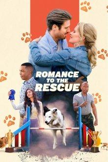 Дрессировка любви / Romance to the Rescue (2022) смотреть онлайн бесплатно в отличном качестве