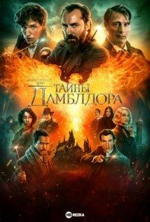 Фантастические твари: Тайны Дамблдора / Fantastic Beasts: The Secrets of Dumbledore (2022) смотреть онлайн бесплатно в отличном качестве