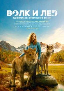 Волк и лев / Le loup et le lion (2021) смотреть онлайн бесплатно в отличном качестве