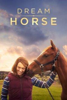 Лошадь мечты (Dream Horse)  года смотреть онлайн бесплатно в отличном качестве. Постер