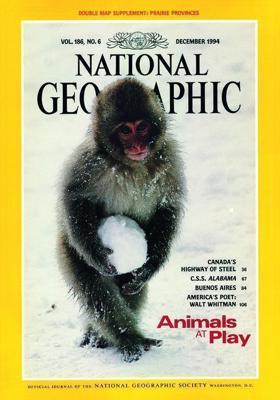 Мое прекрасное лето с Софи Мое прекрасное лето с Софи