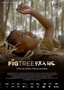 Инжир / Fig Tree (2018) смотреть онлайн бесплатно в отличном качестве