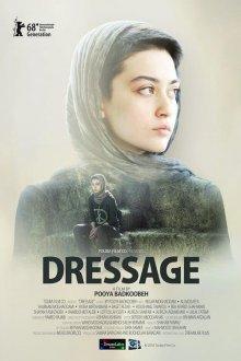 Выездка / Dressage (2018) смотреть онлайн бесплатно в отличном качестве