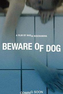 Остерегайся псов / Beware of Dog (None) смотреть онлайн бесплатно в отличном качестве