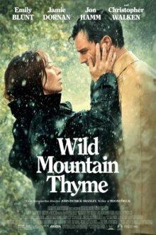 Дикая парочка (Wild Mountain Thyme)  года смотреть онлайн бесплатно в отличном качестве. Постер