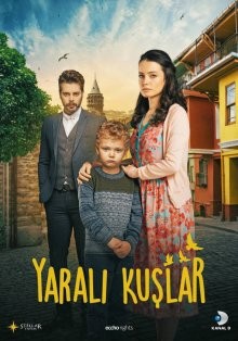 Раненые птицы / Yarali Kuslar (2019) смотреть онлайн бесплатно в отличном качестве