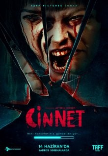 Джинн / Мания / Cinnet (2019) смотреть онлайн бесплатно в отличном качестве