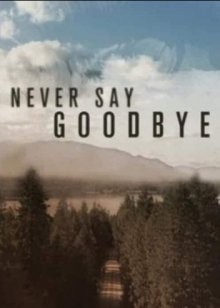 Никогда не говори «прощай» / Never Say Goodbye (2019) смотреть онлайн бесплатно в отличном качестве