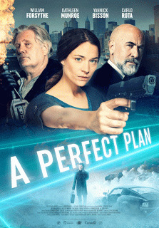 Идеальный план / A Perfect Plan (None) смотреть онлайн бесплатно в отличном качестве